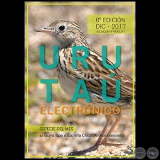 URUTA ELECTRNICO - 6 EDICIN - AO 15 - DICIEMBRE 2017